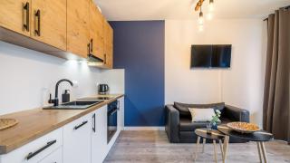 CITYSTAY Chlebova Studio on the Motława River - 6