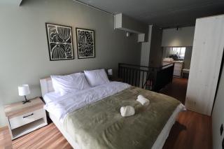 TIA Studio Apartment Lelcaj - 0