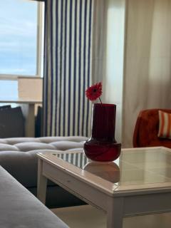 Magnifique apt vue mer - 5