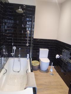 Monthly rental in La Latina - Madrid - 4