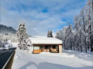 Chalet Horn Trailside Retreat - 2