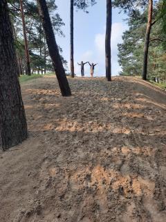 Casa Sosafora - Boshuisje Veluwe - 5