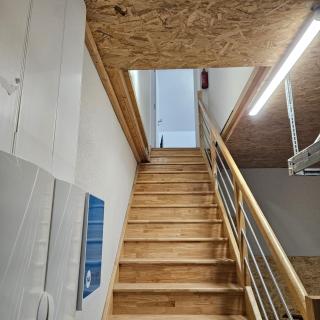 Lila - 5