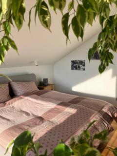 Chalet Bergblick - 3