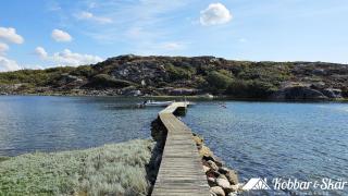 Villa with sea plot, pier and boathouse in Edshult SE09172 - 8