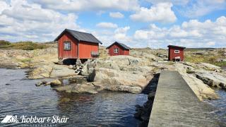 Villa with sea plot, pier and boathouse in Edshult SE09172 - 7