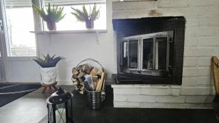 Dog-friendly house with large garden in Svanesund SE09173 - 8