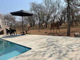 Sekwa Luxury Bush Accommodation - 3