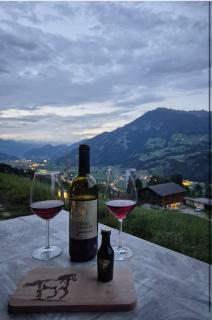 Apartment Alpen Lodge 52 - 3