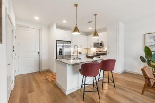 Large Lively Apt - 7