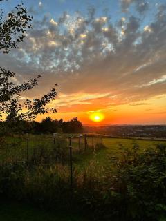 Goldener Blick - 9