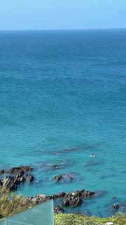 Stonechats Apartment with Sea Views Dog Friendly - 6