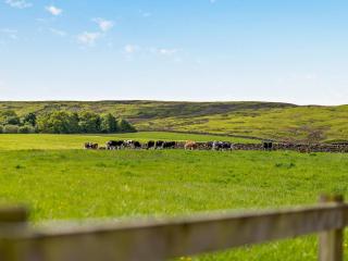 3 Bed in Whitby oc-92012 - Westerdale - 6