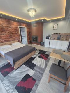 Willa "Aparthause" E-Apartamenty - 7