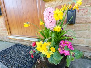 Snowdrop Cottage - 8
