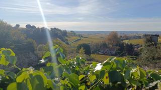 Maison de charme à Mouzillon - Jardin et terrasse accueillante - 9
