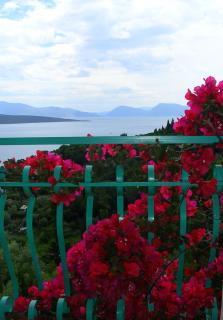 Villa del Arte, amazing sea view, 300m from the beach - 7