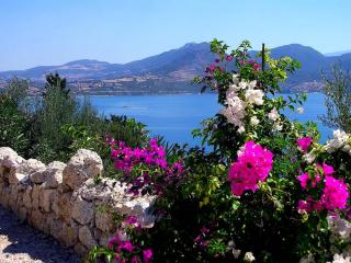 Villa del Arte, amazing sea view, 300m from the beach - 6