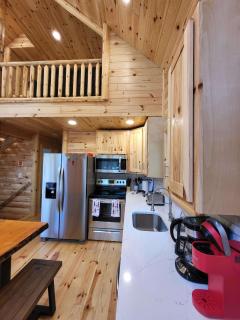 Log Cabin Game Room Hot Tub Close to Lake - 4