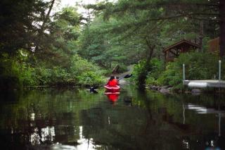 Waterfront Cottage in Kawartha Lakes - 5