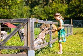 Glamping Saint Germain - 2