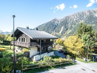 Chalet charmant à Chamonix avec sauna et jardin, animaux admis - FR-1-343-232 - Chamonix-Mont-Blanc - 5