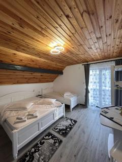 Pensiunea Panorama Pojoratei - 2