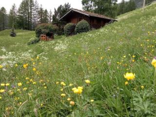 Apartment 'Lo Chalet' der Balkon über dem Matterhorntal by Interhome - 4