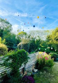 Treetops - Garden Flat with Woodland Access - 4