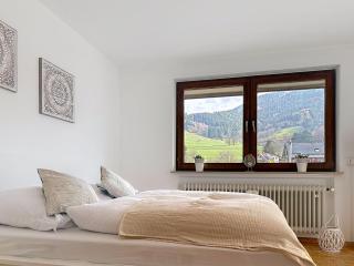 Apartment Sommer Apartements Schwarzwald by Interhome - 8