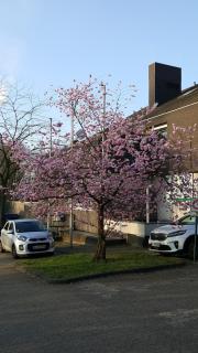RTB-Hotel - Sportschule - 9