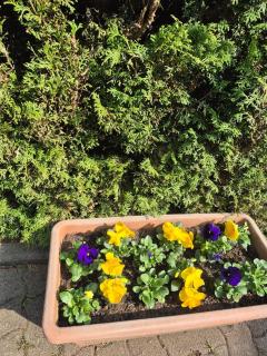 Gasthaus Staufenbrücke - 1