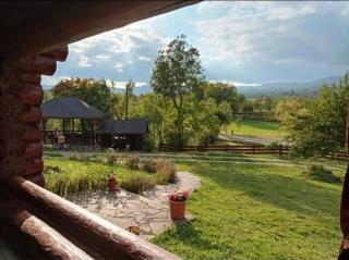 Blueberry Blockhouse - 9