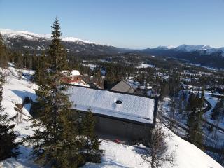 Skirvedalen - New cabin with panoramic views! - 9