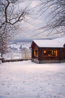 Blueberry Blockhouse - 7