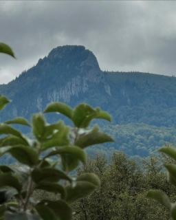 Blueberry Blockhouse - 3