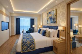 Hotel Royal Infinity Near Delhi Airport - 8