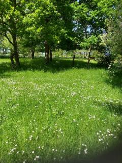 Valley Farmhouse, Westhall - 7