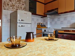 Vintage apartment Erjavec - 7