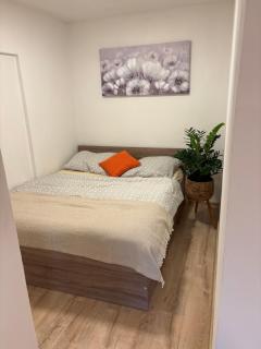 Nature Apartment Karlovy Vary Kolová - Karlsbad - 6