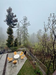 Cedar Ridge Villas - Murree - 3