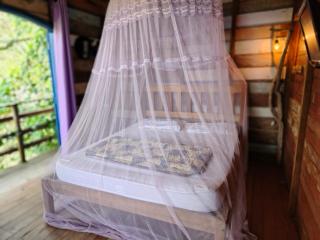 Guapê - Casa com Vista para o Pôr do Sol da Ilha do Mel - 1