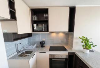 Conciertos Movistar Arena I Parque Ohiggins - 7