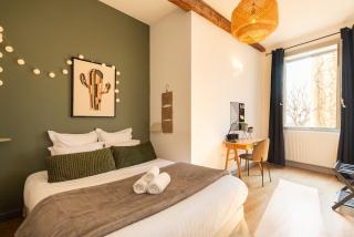 Duplex Jardin Privé et Vue sur le Vieux-Lyon - Lione - 4