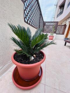 Bright and quiet escape in Malta! - 8