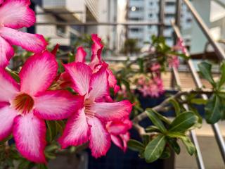 Le Parc by Hosppedar - 3