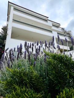 Brilliant Bay & Sea View Apartment in Saronida - 4