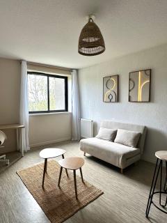 Le Cocon Griffon - parking, fibre, proche Toulouse - 0
