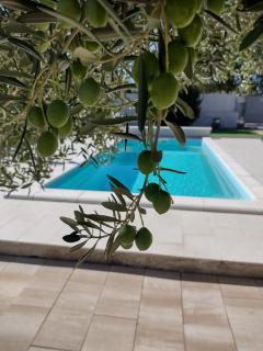 HH Antona with Private Pool - 1