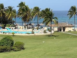 The Flip Flop Villa - 6
